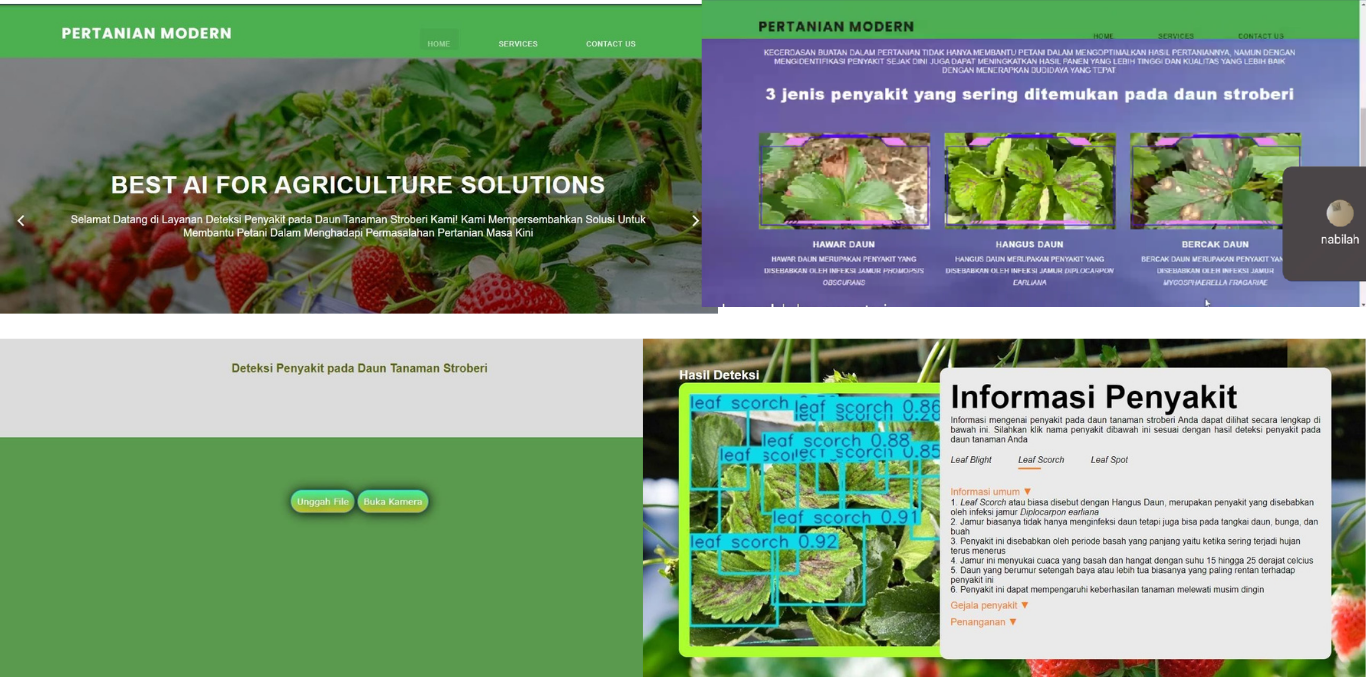 Detection result overview